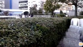 [短视频区] 晃眼睛